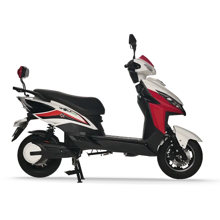 Joy e bike Wolf Eco